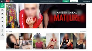 mydirtyhobby Erfahrungen